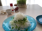 こっそり知りたい♡白髪ねぎの作り方