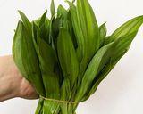 行者ニンニク短期間の保存法作り方1写真