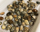 我が家の簡単あさりの酒蒸し作り方1写真