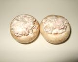 前菜(3種)＆食前酒(キール)作り方7写真