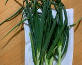 葉玉ねぎとサバ缶の塩こぶ和え作り方1写真