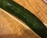 フレッシュわかめときゅうりの酢の物作り方1写真