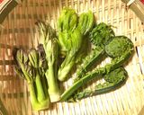 山菜の天ぷら作り方1写真