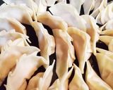 大根たっぷり餃子作り方6写真