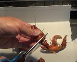 ザリガニで作る本格エビラーメン作り方1写真