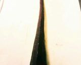 簡単‼すりおろして炊くだけ紫にんじんご飯作り方1写真