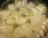 涼やか！冬瓜の煮物作り方5写真