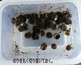お子さんと簡単鯉のぼりレシピに挑戦作り方6写真