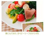 僕にもできた【ベビーリーフのサラダ】作り方11写真