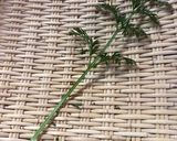 人参の茎の竹輪ナムル作り方1写真
