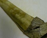 簡単焼き茄子作り方3写真