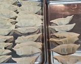 ガチで手作り餃子❗作り方5写真