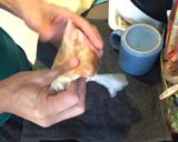 鶏ムネ肉の味噌マヨ漬け（もどき）作り方5写真