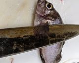 秘密にしたいメバルの唐揚げ漬け作り方3写真