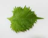 おつまみにも。わさび醤油で大葉inちくわ作り方2写真