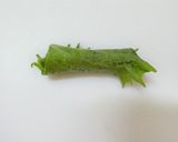 おつまみにも。わさび醤油で大葉inちくわ作り方4写真