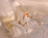 新玉ねぎのトロトロ唐揚げ？ほぼ素揚げ作り方1写真