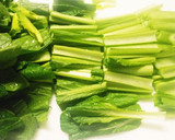 5分で♪薄揚げと小松菜の煮びたし作り方2写真