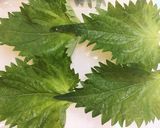やみつき大葉のゴマ醤油漬け作り方3写真