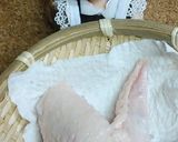 リカちゃん♡鶏手羽で台湾のあのにおいの…作り方1写真