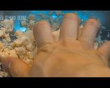 材料3つのクッキータルト生地【卵不使用】作り方4写真