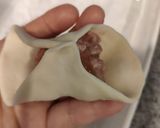 ホットプレートで焼き小龍包♪作り方24写真