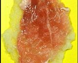 水羊亭流肉じゃが作り方9写真