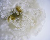 米粉100% エビせん作り方1写真