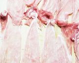 お年寄り絶讚シリーズ❗春菊、豚肉❗作り方1写真