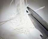 宇宙生物？カマサーメ作り方1写真