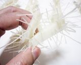 宇宙生物？カマサーメ作り方4写真