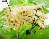 宇宙生物？カマサーメ作り方9写真