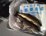 渓流の女王!アマゴの炭火焼き作り方1写真
