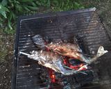 渓流の女王!アマゴの炭火焼き作り方6写真