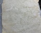 自宅で手打ちうどん〜きのこ野菜つけ汁〜作り方9写真
