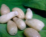 れんこんだけ餅作り方4写真
