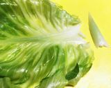 定番　ロールキャベツ作り方6写真