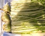 水菜のサラダ（シンプルドレッシング）作り方1写真