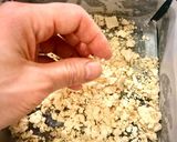 チーズケーキのボトムでカルシウム摂取♪作り方3写真