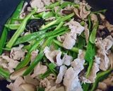 肉野菜炒め（ピーマン・生きくらげ等）作り方8写真