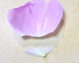 香り華やか♪ローズジャム作り方1写真