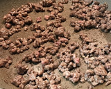 中華風ひき肉とセロリの焼きそば作り方4写真