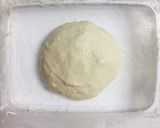タッパで自家製天然酵母でふっくらあんぱん作り方5写真