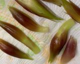 みょうがの酢漬け作り方8写真