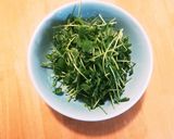豆苗とツナのごまマヨ和え作り方1写真