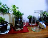 【お酢だけ！ドレッシング】作り方1写真