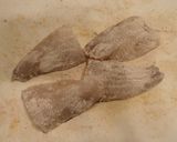 アイナメの甘酢あんかけ作り方5写真