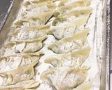 キャベツたっぷり 焼き餃子作り方11写真