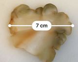 鹹豆漿（シェントウジャン）　台湾朝ごはん作り方1写真