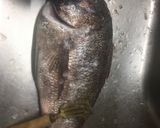 鯛の三枚おろし作り方2写真
